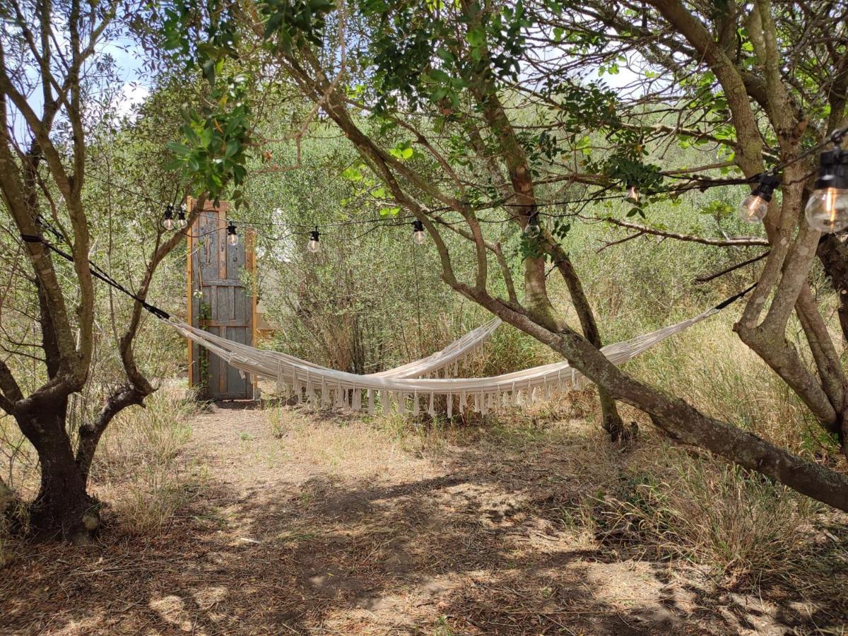 Tranquilo Glamping Hozanejos Exterior foto