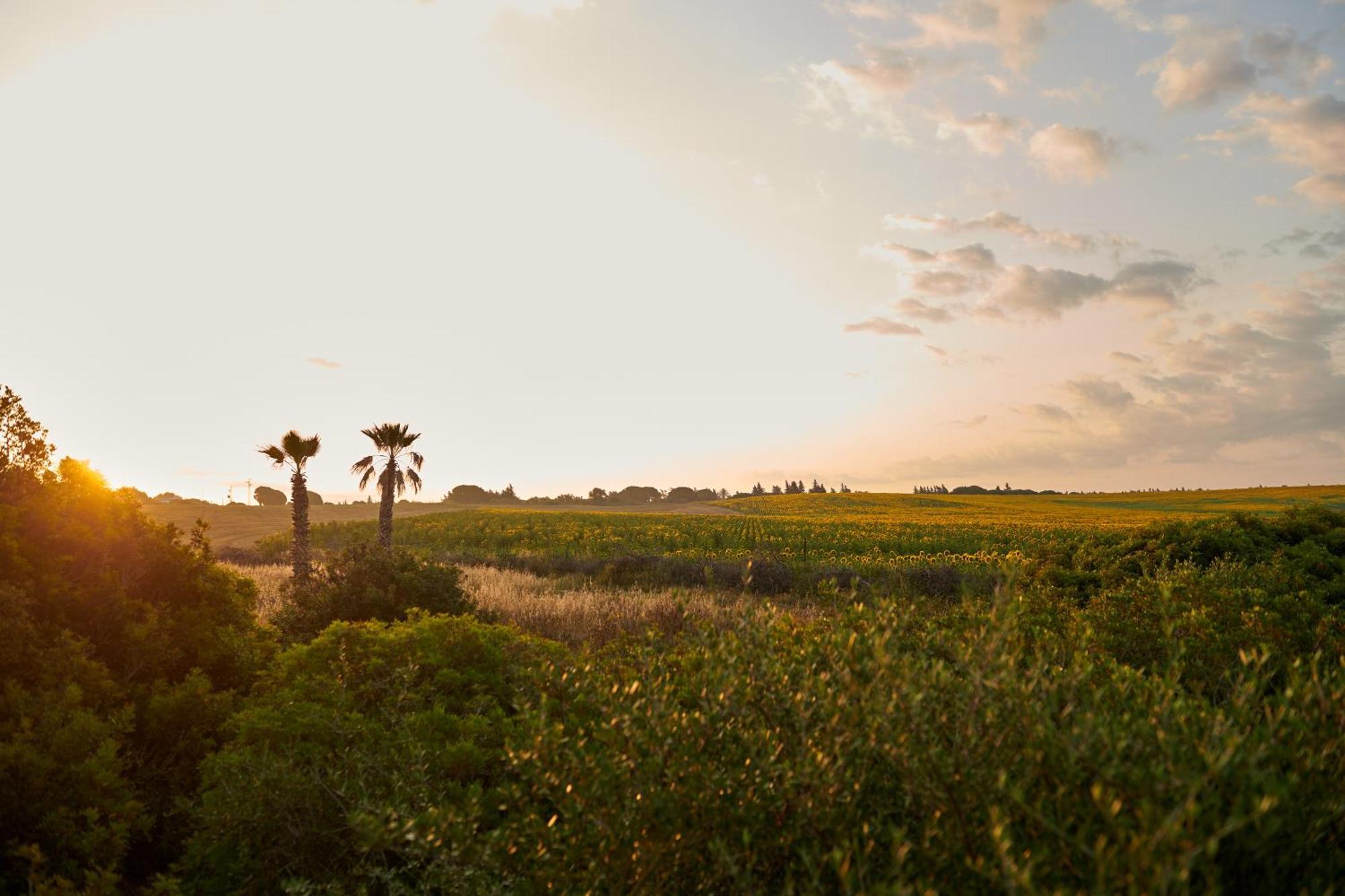 Tranquilo Glamping Hozanejos Exterior foto